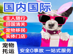 南昌机场空运国际宠物托运 【国